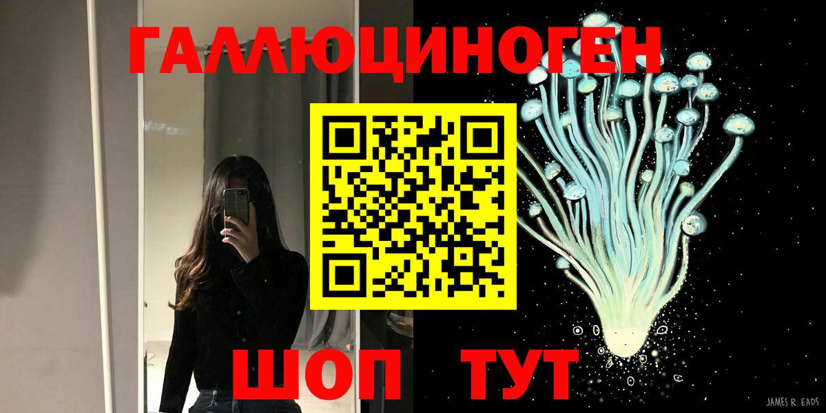 Кингисепп  Галлюциногенные грибы мухоморы  Вход с VPN 